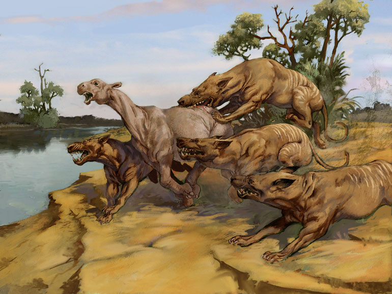 Illustration dinosaure pour les Editions Fleurus