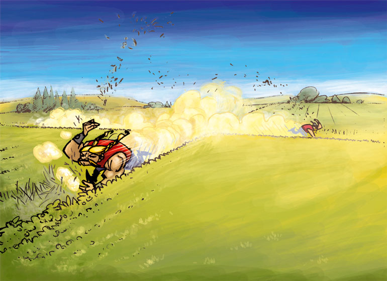 Illustration phytosanitaire